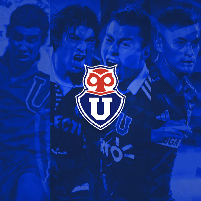 UNIVERSIDAD DE CHILE