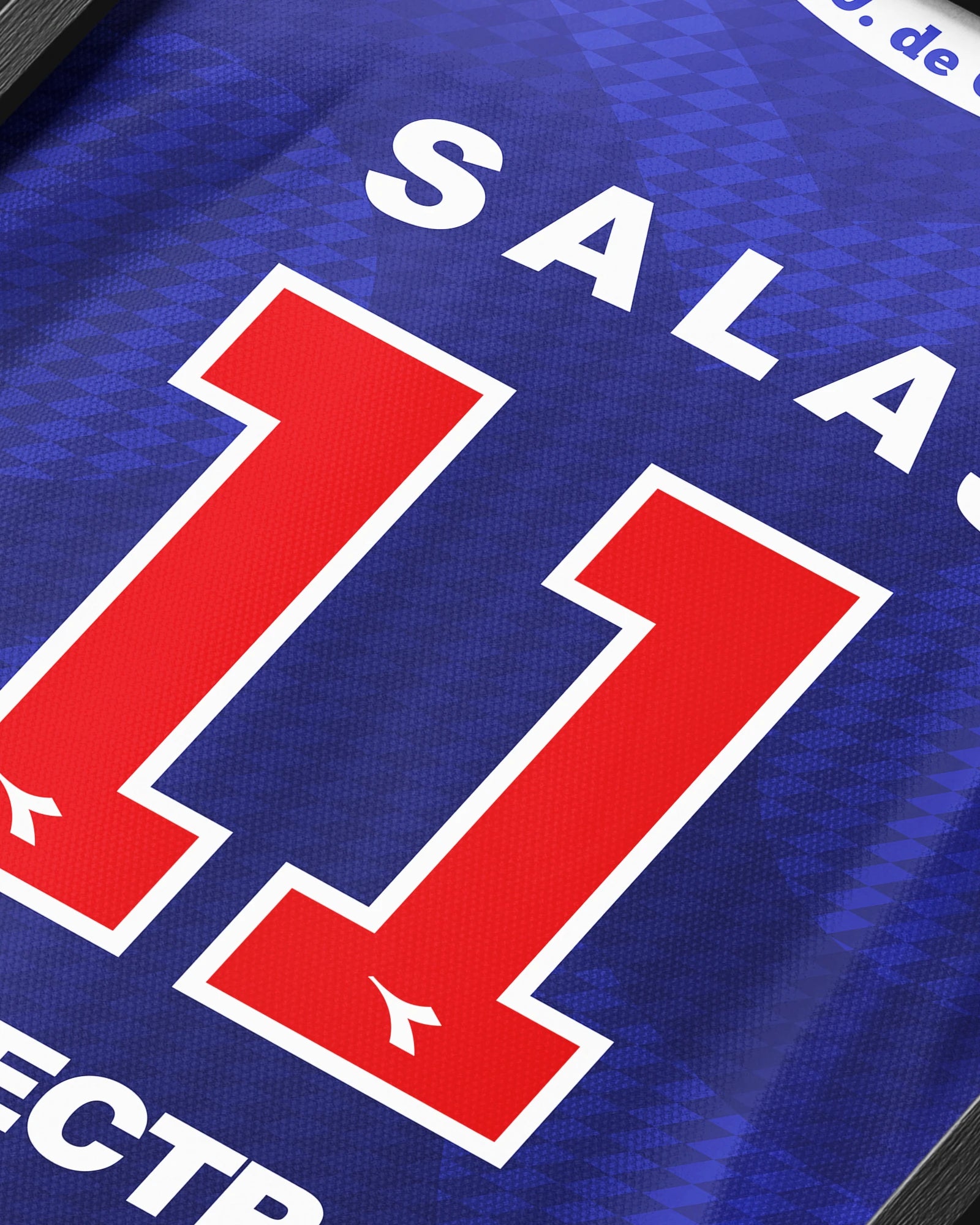 Cuadro Dorsal Marcelo Salas 11 | 1996