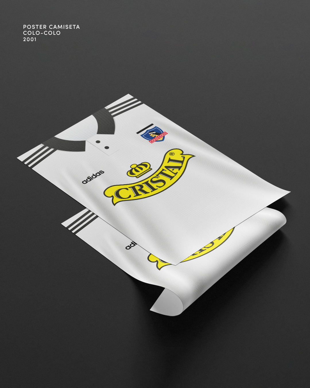 Cuadro Colo-Colo • 1993