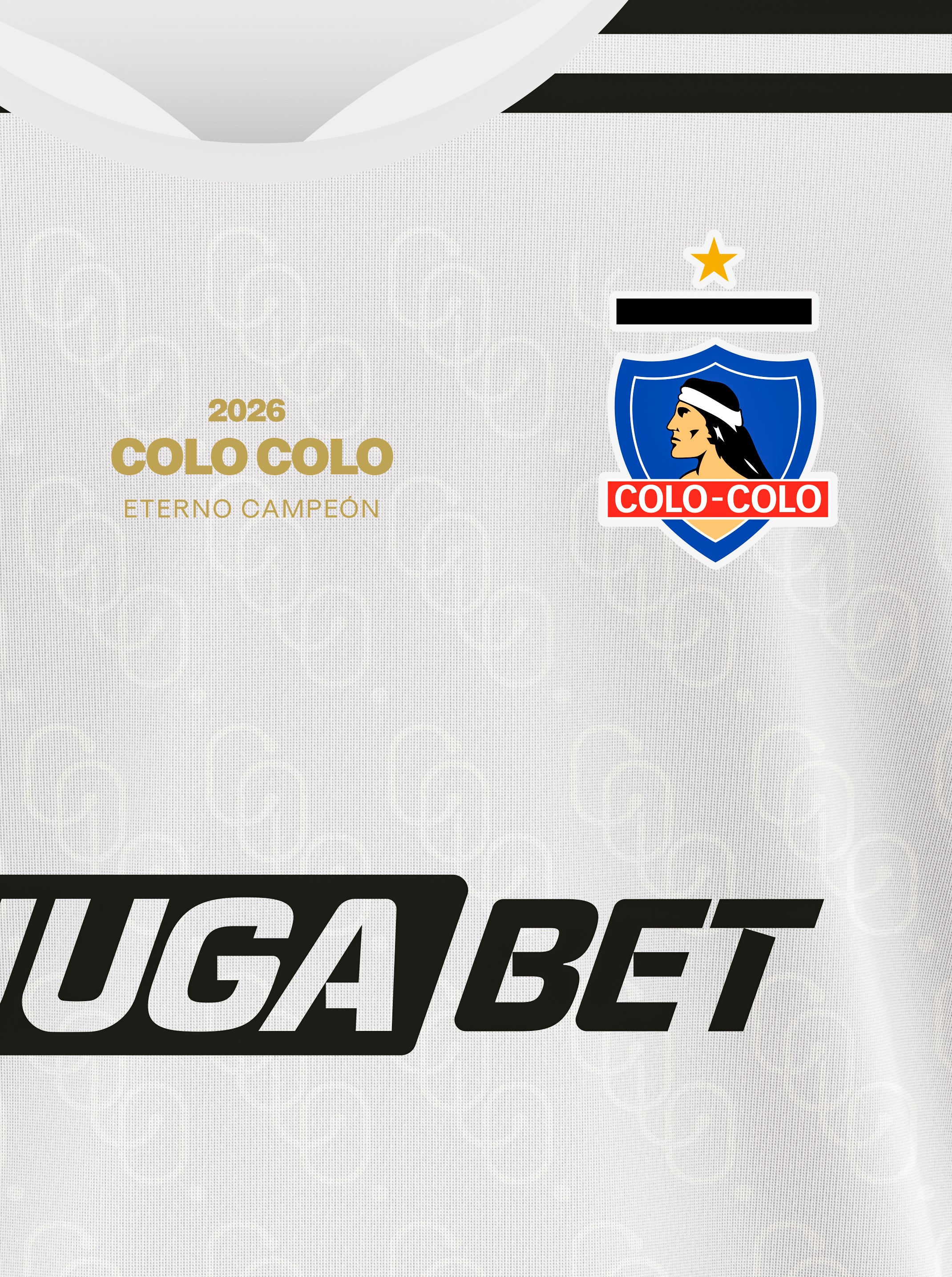 Cuadro Colo Colo - 2026