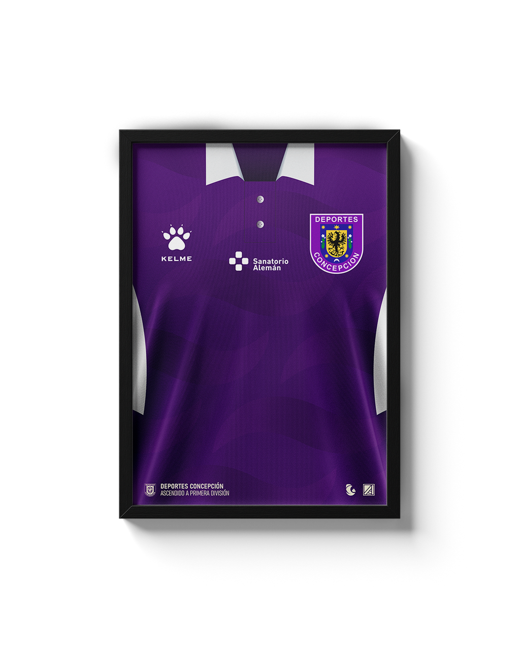 Cuadro Deportes Concepción - 2025