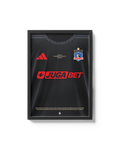 Cuadro Colo Colo | 2026 | Visita