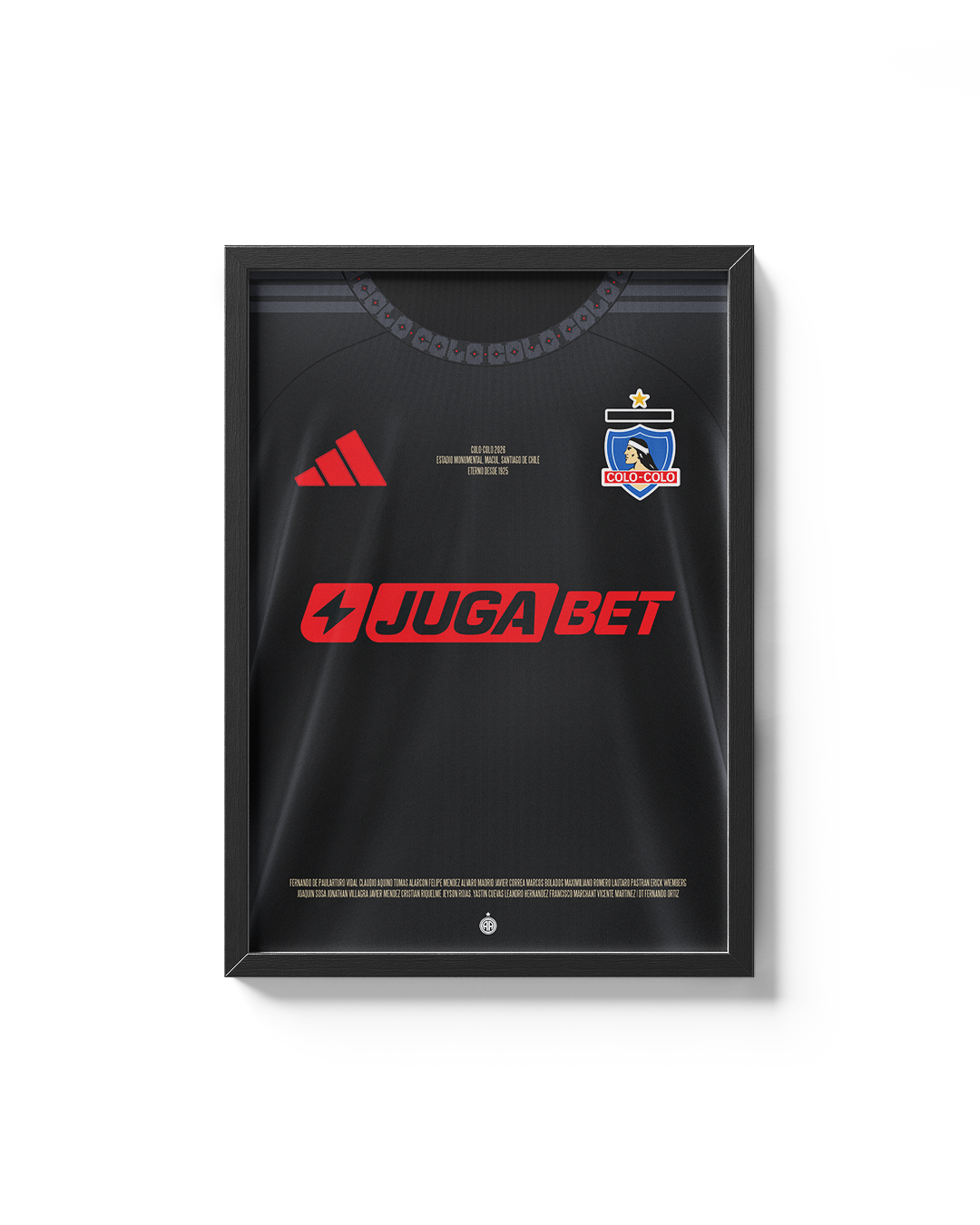 Cuadro Colo Colo | 2026 | Visita