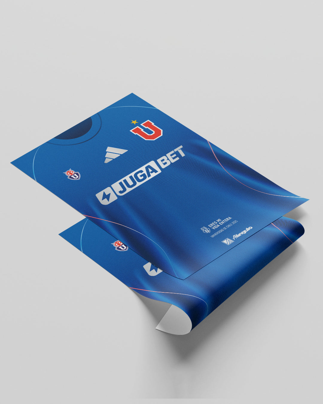 Print Universidad de Chile - 2025