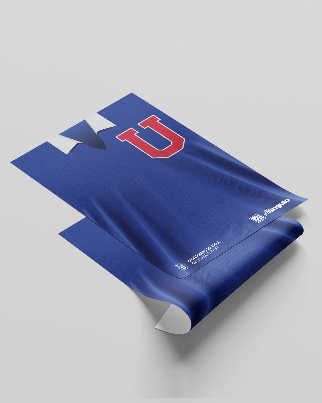 Print Universidad de Chile - Ballet Azul