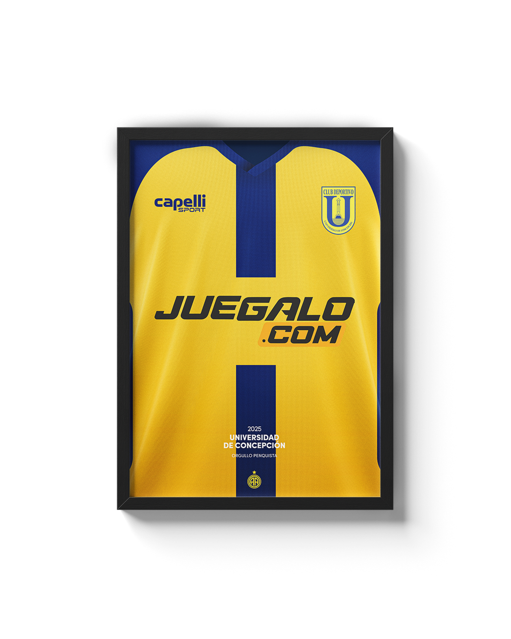 Cuadro U. de Concepción - 2025