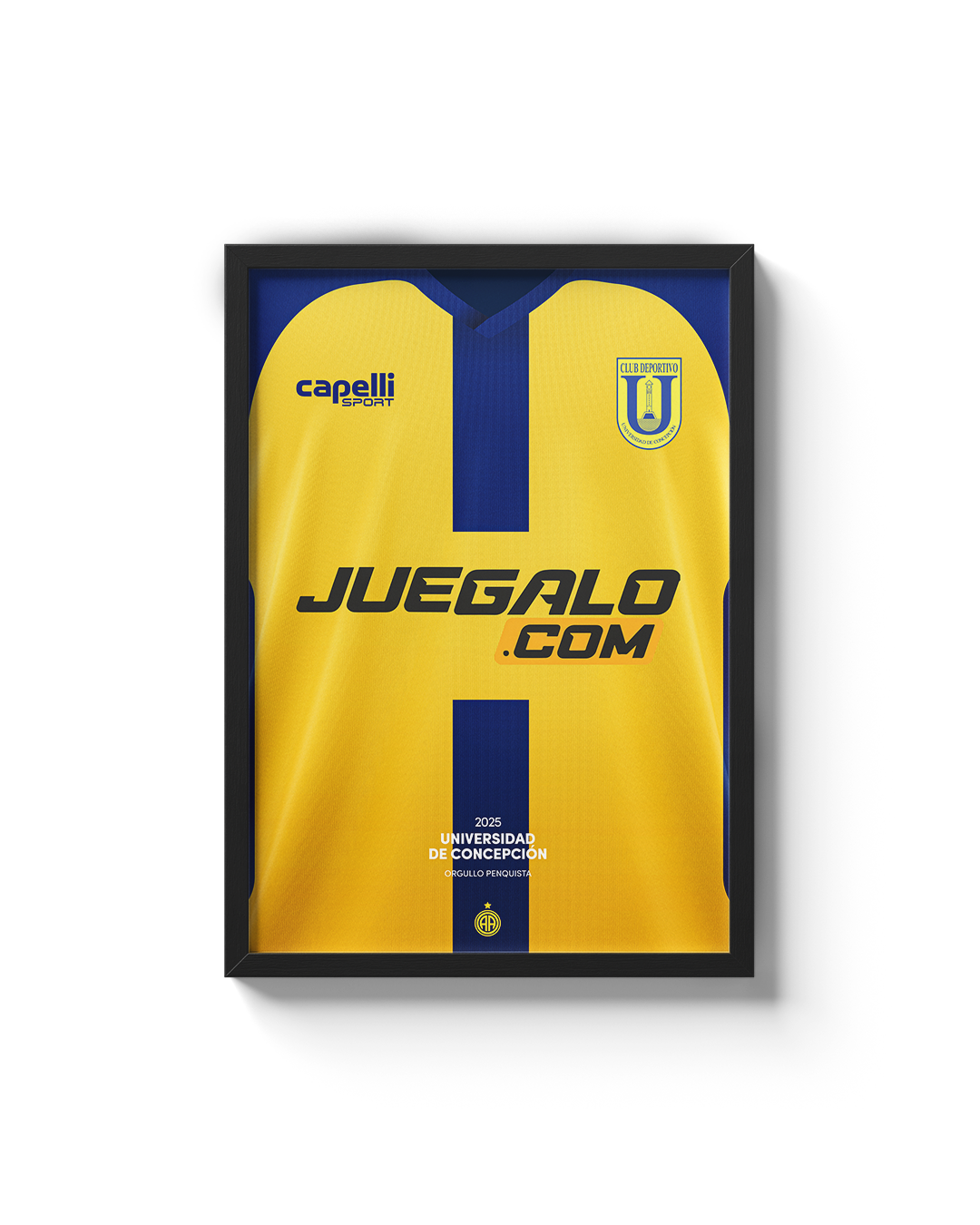 Cuadro U. de Concepción - 2025