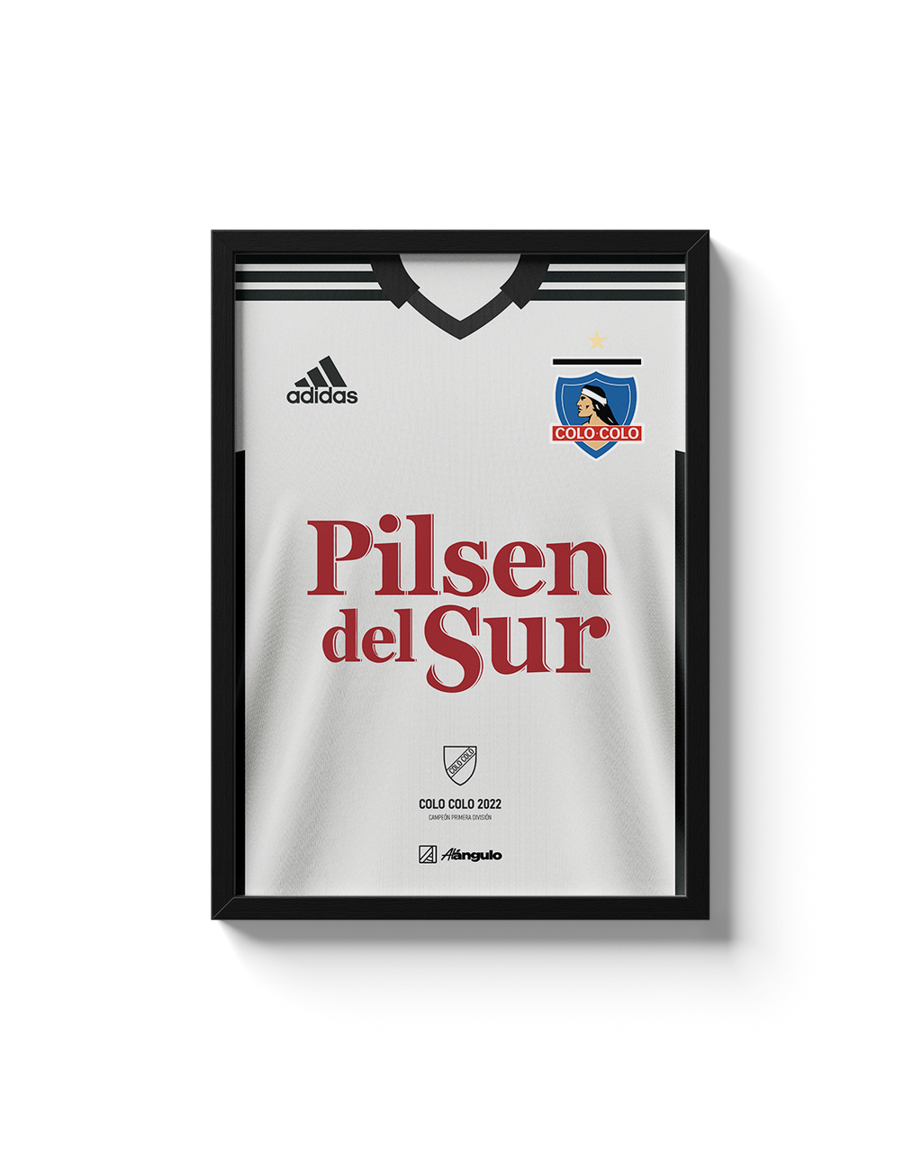 CUADRO COLO COLO 2022