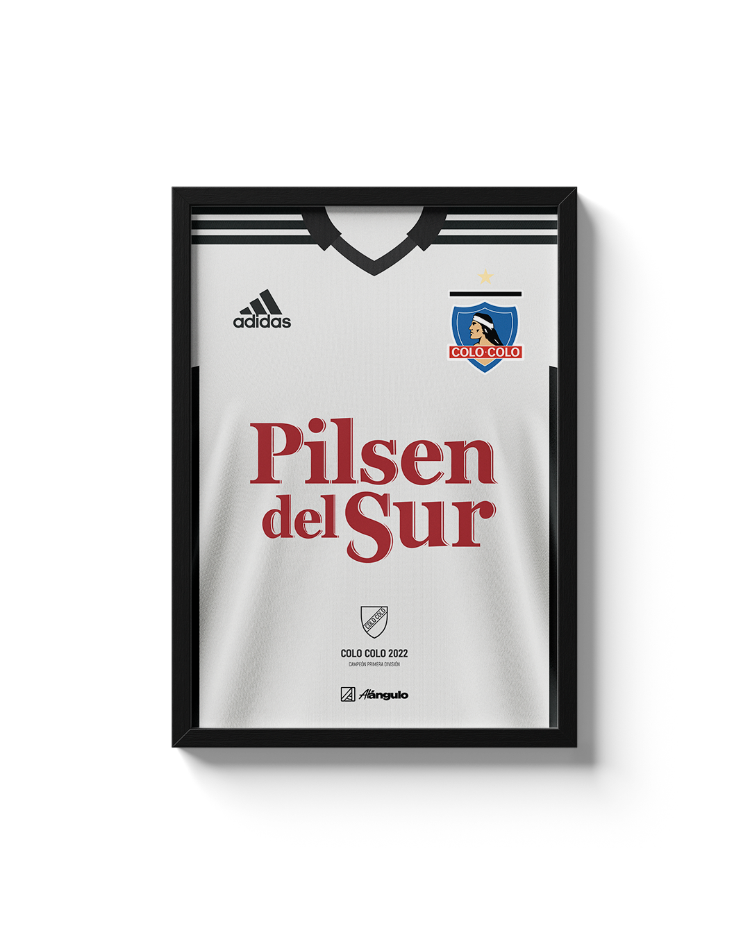 CUADRO COLO COLO 2022