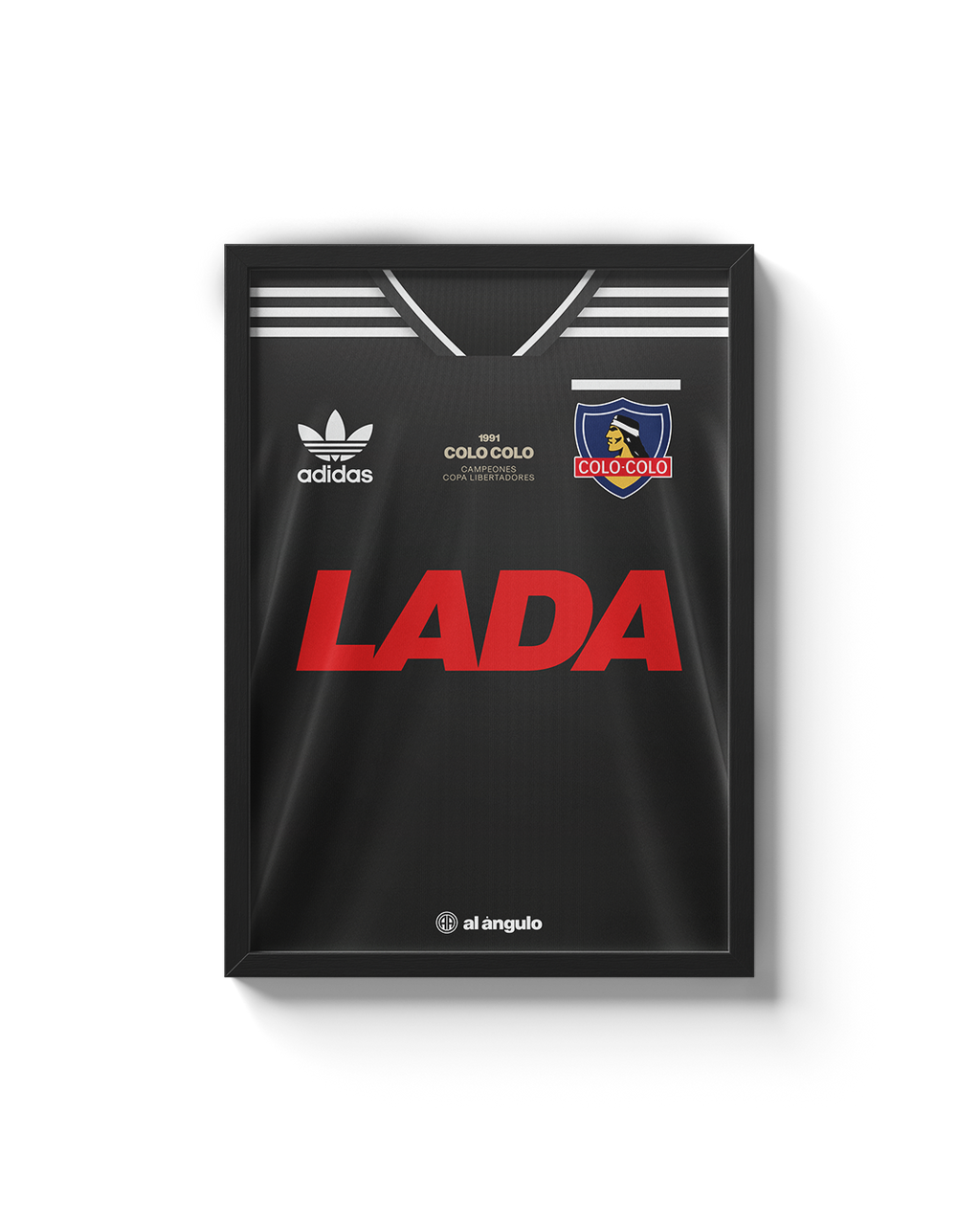 Cuadro Colo-Colo 1991 - Visita