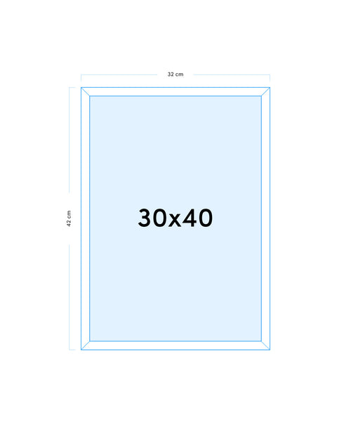 Cuadro Argentina 1994 Visita